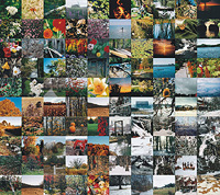 One Hundred Photographs