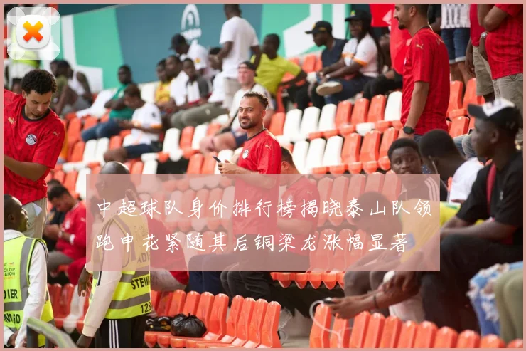 中超球队身价排行榜揭晓泰山队领跑申花紧随其后铜梁龙涨幅显著