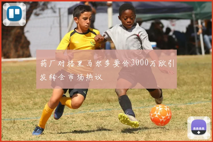 药厂对格里马尔多要价3000万欧引发转会市场热议