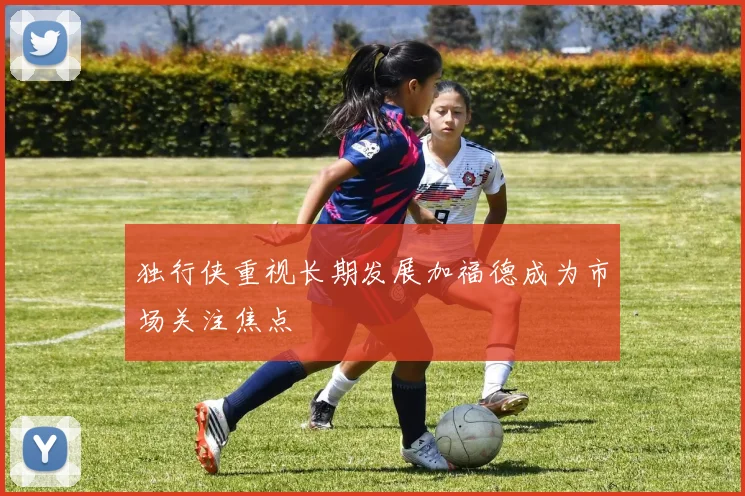 独行侠重视长期发展加福德成为市场关注焦点